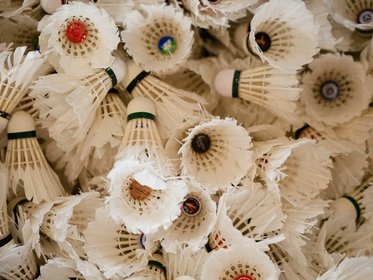 Shuttlecocks on a badminton court